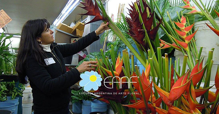 Visita al mercado de flores de Los Angeles, California